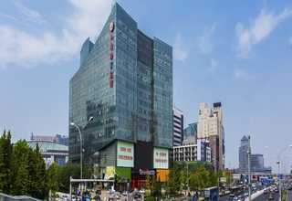 阳江自然式庭院绿植