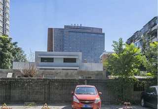 宝山区栗蘑灰树花供应